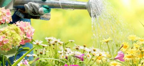 ontdek-het-verschil-tussen-ecologisch-en-biologisch-tuinieren