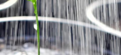 waarom-kiezen-voor-een-ecologische-tuin